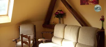 salon salle à manger violettes
